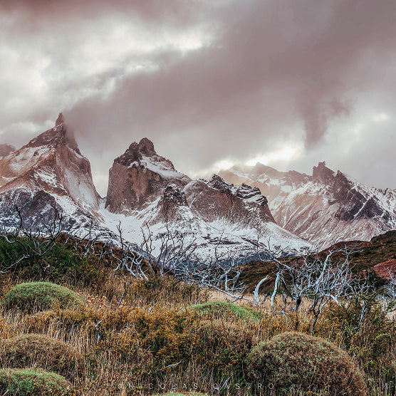 W Autoguiado en Torres del Paine