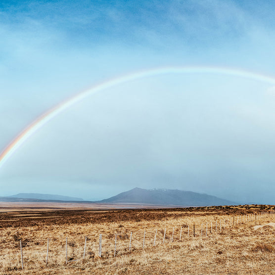 W Autoguiado en Torres del Paine
